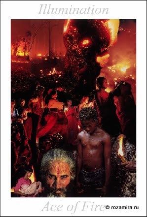 Nature Tarot by Jan Strube